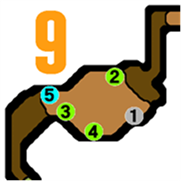 http://www41.atwiki.jp/mhp2g/?plugin=ref&serial=59